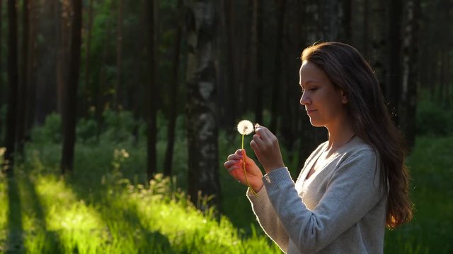 Woman touch fingers flower on dandelion seed head, blow and floret fly away