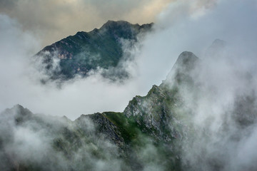 Summer landscape with mountains