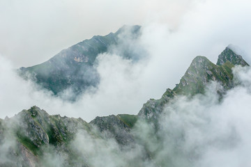 Summer landscape with mountains