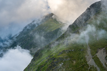 Summer landscape with mountains