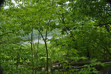 View from the overlook on a cloudy day at the Allegheny National Forest