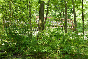 Iron bridge crossing creek in the forest at Asbury woods 