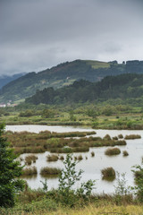 Fototapeta na wymiar Basque yellowish marsh in a calm moment, some mountains & forest at the center & a stormy sky above at the Basque Country, Spain