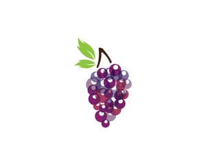 Grape with leaf icon vector template