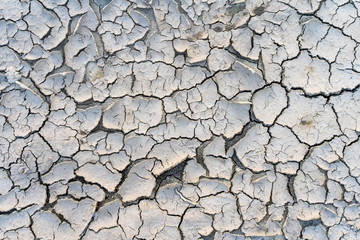 The soil cracked from the drought and the scorching sun.