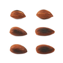 Single fried almond nut isolated