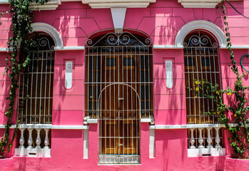 the pink house