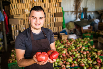 Fototapeta premium Young man farmer with tomatoes in hands in boxes in a greenhouse. Small agriculture business.