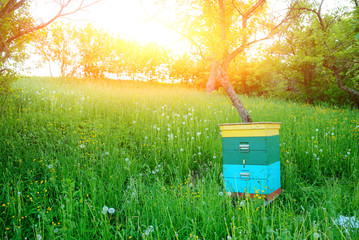 Polish landscape with beehives on ecological field