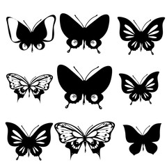 black butterfly, isolated on a white