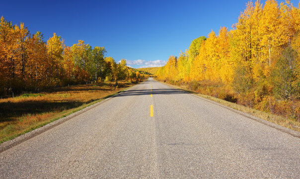 A road trip through autumn colors.