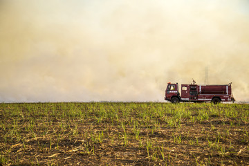 Obraz premium Sugar cane Fire plantation