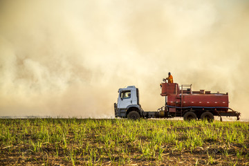 Fototapeta premium Sugar cane Fire plantation