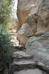 Walkway to nature