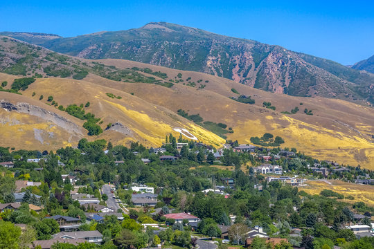 Homes Near The U Of University Of Utah