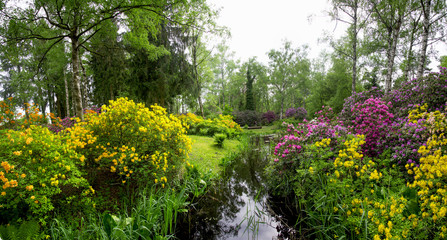 Surreal panorama of clusters & clusters of manicured multicoloured blooms - yellows, orange, lilac, bright pink . The green foliage & the water body,/looking like a mini river, add enormous weightage
