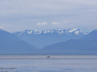 Olympic Mountain Range
