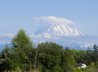 Mt. Rainier