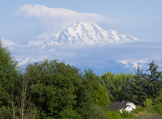 Mt. Rainier