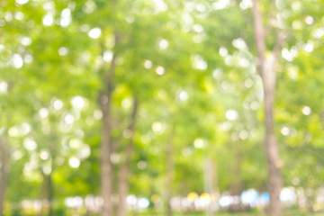 Blurred spring and summer nature outdoor background, Blur green park background
