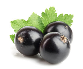 three black currant with leaf isolated on white background