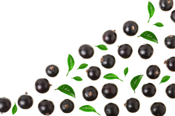 black currant isolated on white background with copy space for your text. Top view. Flat lay pattern
