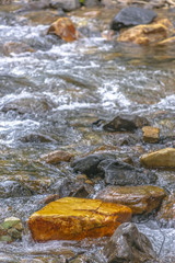 Orange rock among the wet creek bed