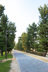 Soka Matsubara Promenade, Soka city, Saitama, Japan
