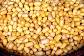 making silk with white silkworm cocoonsby handmade.boiling yellow white silkworm cocoons to make silk thread. Boiled yellow white silk nest to make silk thread.Silk dyeing by hand.