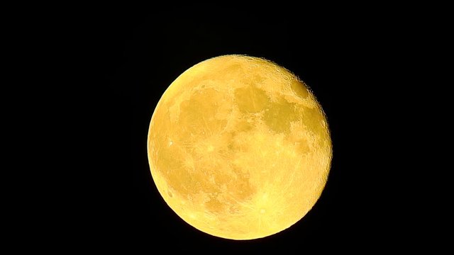 月イメージ素材、月齢16.4。右欠けで、右端が立体的。暖か味のある黄色