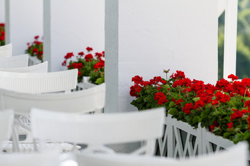 Geranium seating
