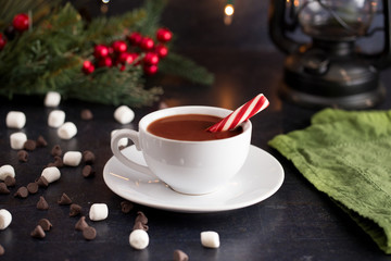 Obraz na płótnie Canvas Hot Chocolate on a Table set for the Holidays
