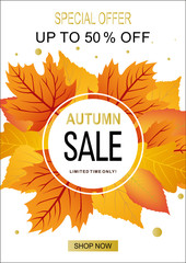 Autumn sale banner original design