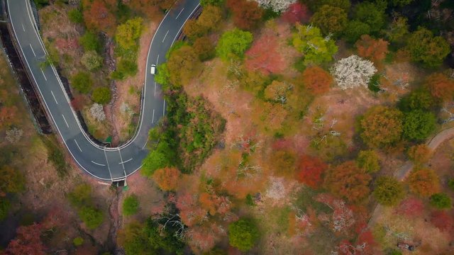 Cinematic aerial footage of cherry blossoms at Mount Yoshino, Nara Prefecture, Japan.