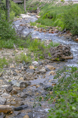 Spiral creek seen from vertical orientation