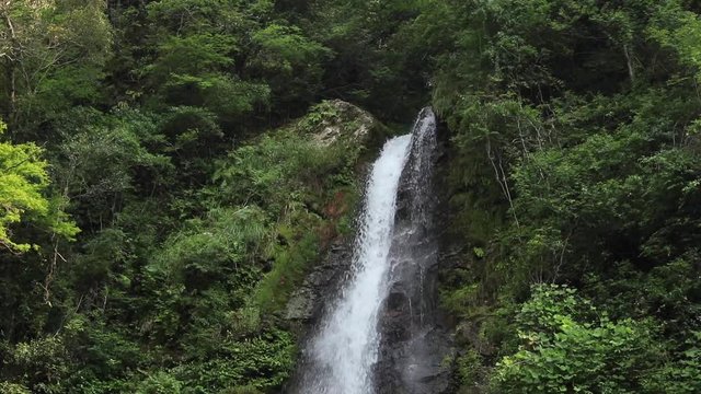 高知県大樽の滝