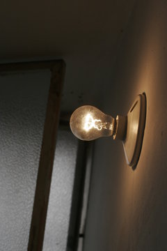 Luz