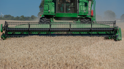 Fototapeta premium Getreideernte auf einem Kornfeld bei blauem Himmel