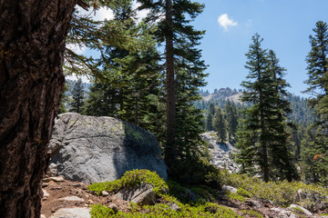 Sequoia National Park