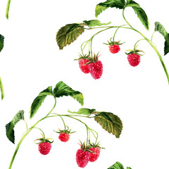 Hand drawn watercolor seamless pattern with raspberry twig on white background