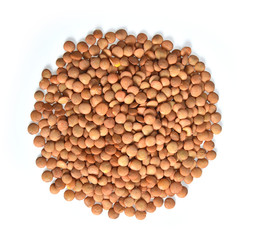 Lentils  on white background