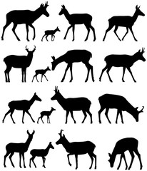 Collection of silhouettes of pronghorn antelope