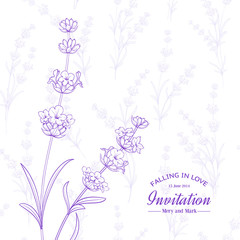 Summer flowers with calligraphy sign Invitation. Bunch of lavender flowers isolated over white background. Vector illustration.