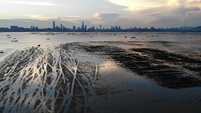 pak nai mudflat in hong kong
