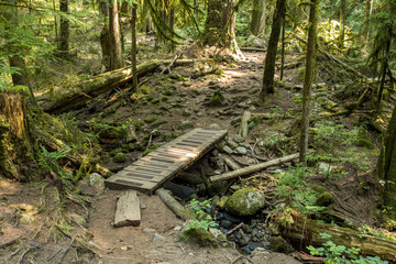 small wooden cross over above a shallow creek inside forest