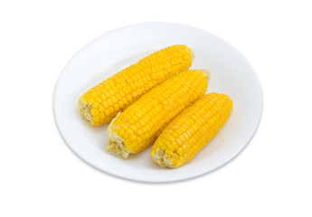 Boiled ears of sweet corn on a white dish