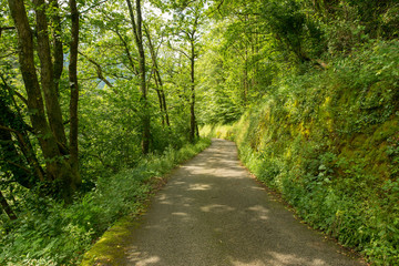 Way of santiago in the pirneos by valcarlos