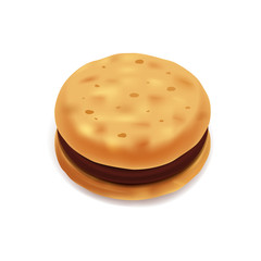 Chocolate cookies illustration, graphic concept for your design