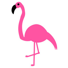 Elegant pink flamingo