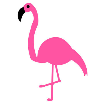 Elegant pink flamingo